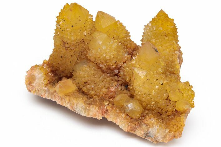 Sunshine Cactus Quartz Crystal Cluster - South Africa #217976